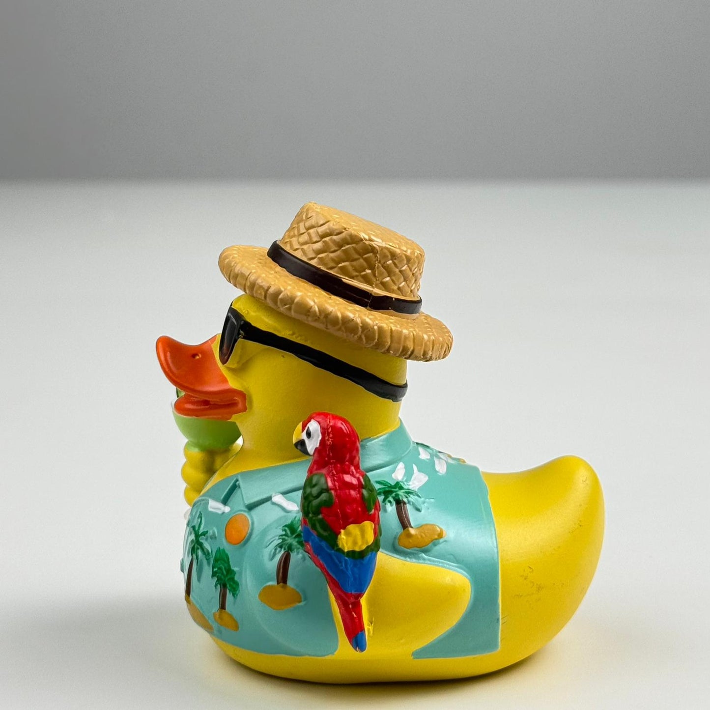 Vacation Duc